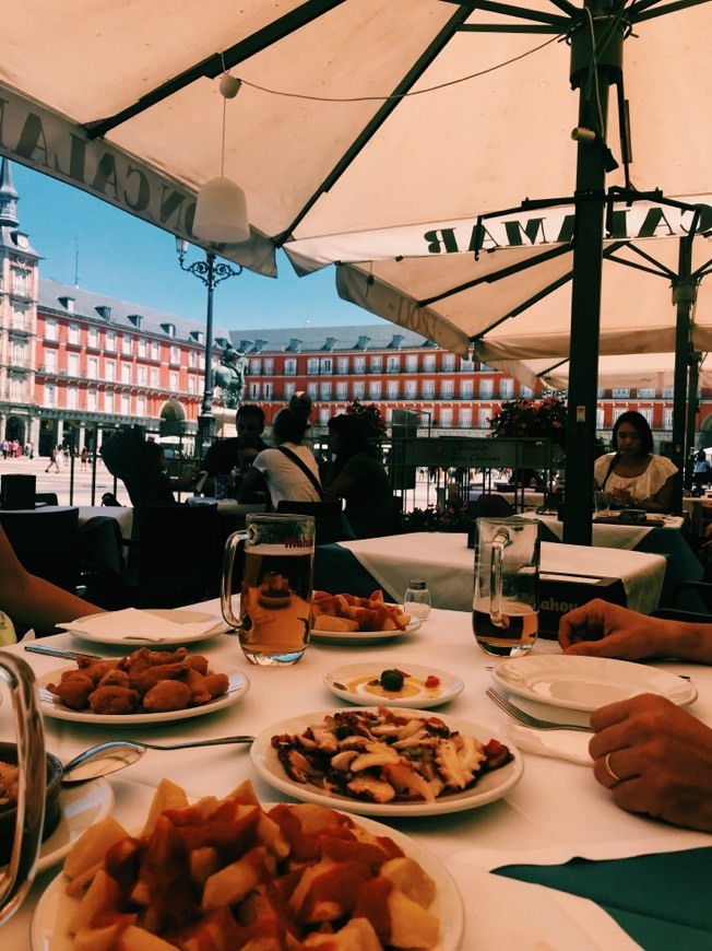 Place Plaza Mayor