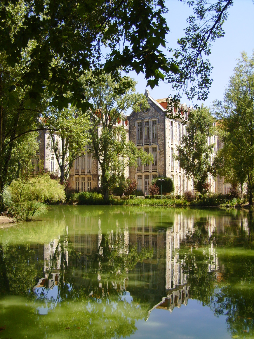 Place Parque Dom Carlos I