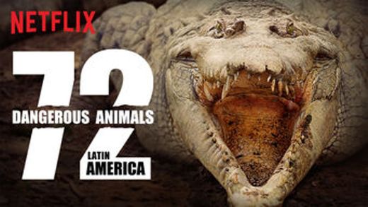 72 Dangerous Animals: Latin America