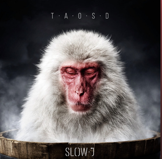 Canción Slow j - The Art of Slowing Down