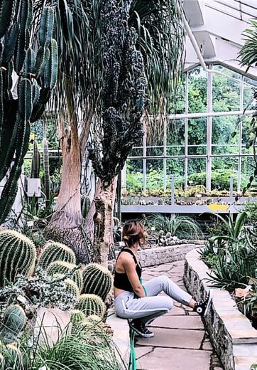 Botanic Garden of the Jagiellonian University