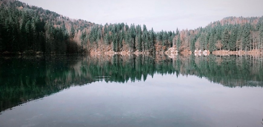 Lugar Laghi di Fusine