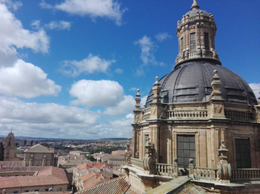 Lugar Catedral de Salamanca