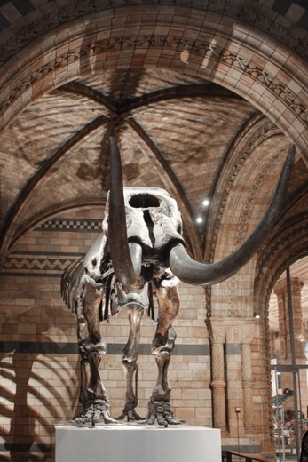 Natural History Museum