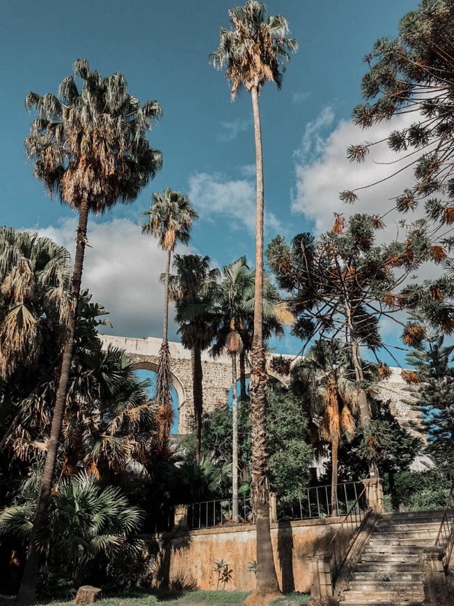 Place Jardim Botânico da Universidade de Coimbra