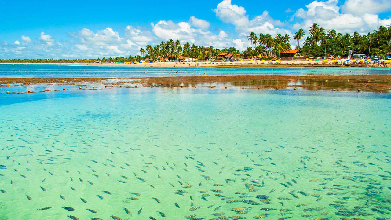 Place Porto de Galinhas