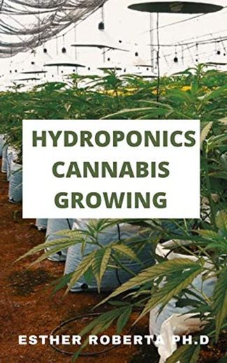 HYDROPONICS CANNABIS GROWING: THIS COMPLETE GUIDE IS ALL ABOUT HOW CANNABIS CAN