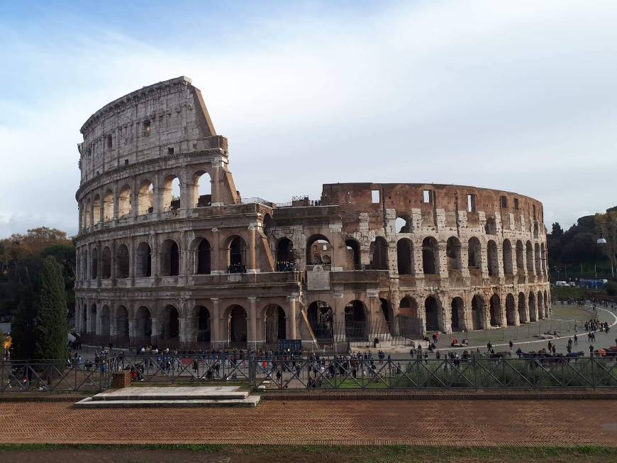 Lugar Coliseo de Roma