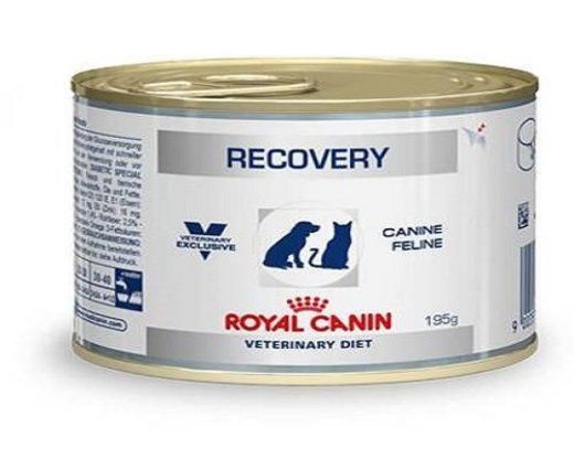 Royal Canin C-11402 Diet Recovery
