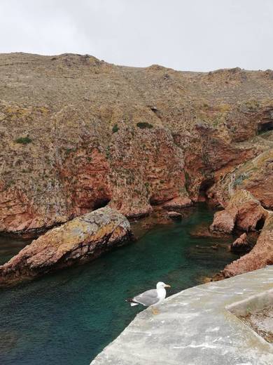 Berlengas