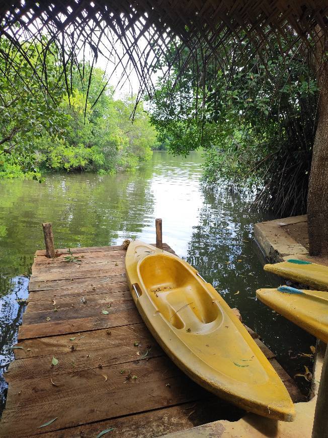 Tangalle lagoon & kayak