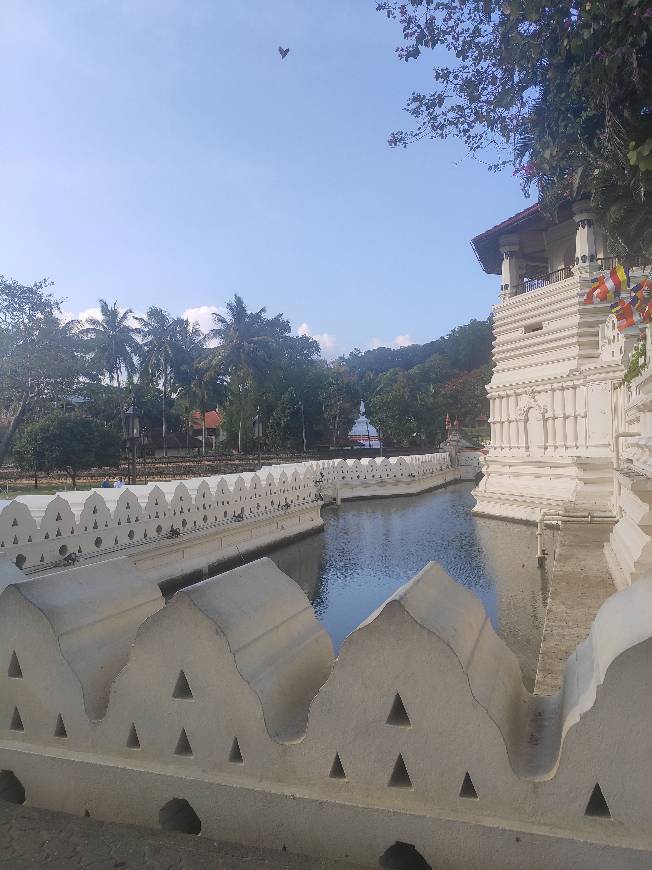 Lugares Temple of the Sacred Tooth Relic