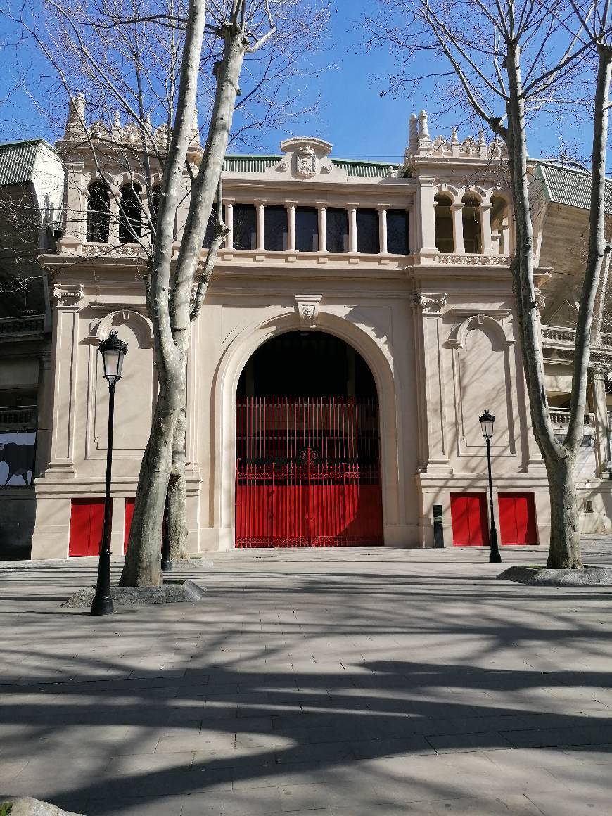 Lugar Plaza de Toros de Pamplona