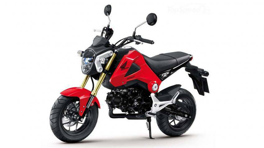 Fashion Honda Grom 125