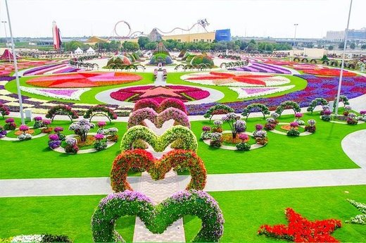 Miracle Garden