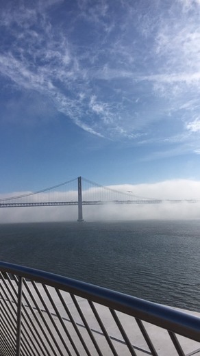 Puente Vasco da Gama