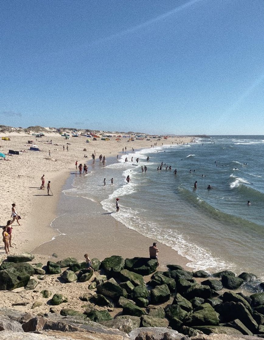 Lugar Praia da Costa Nova