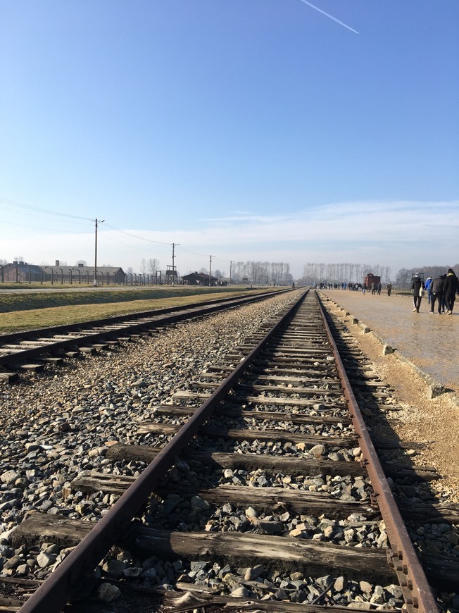 Place Auschwitz II-Birkenau