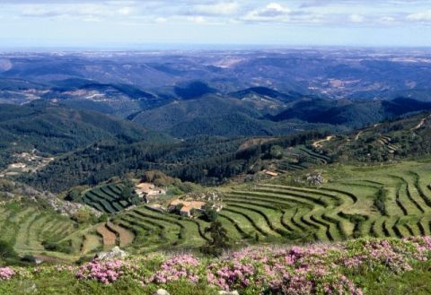 Lugar Serra de Monchique