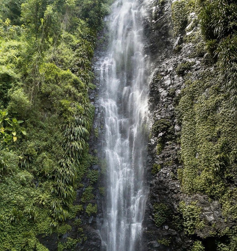 Lost World Track