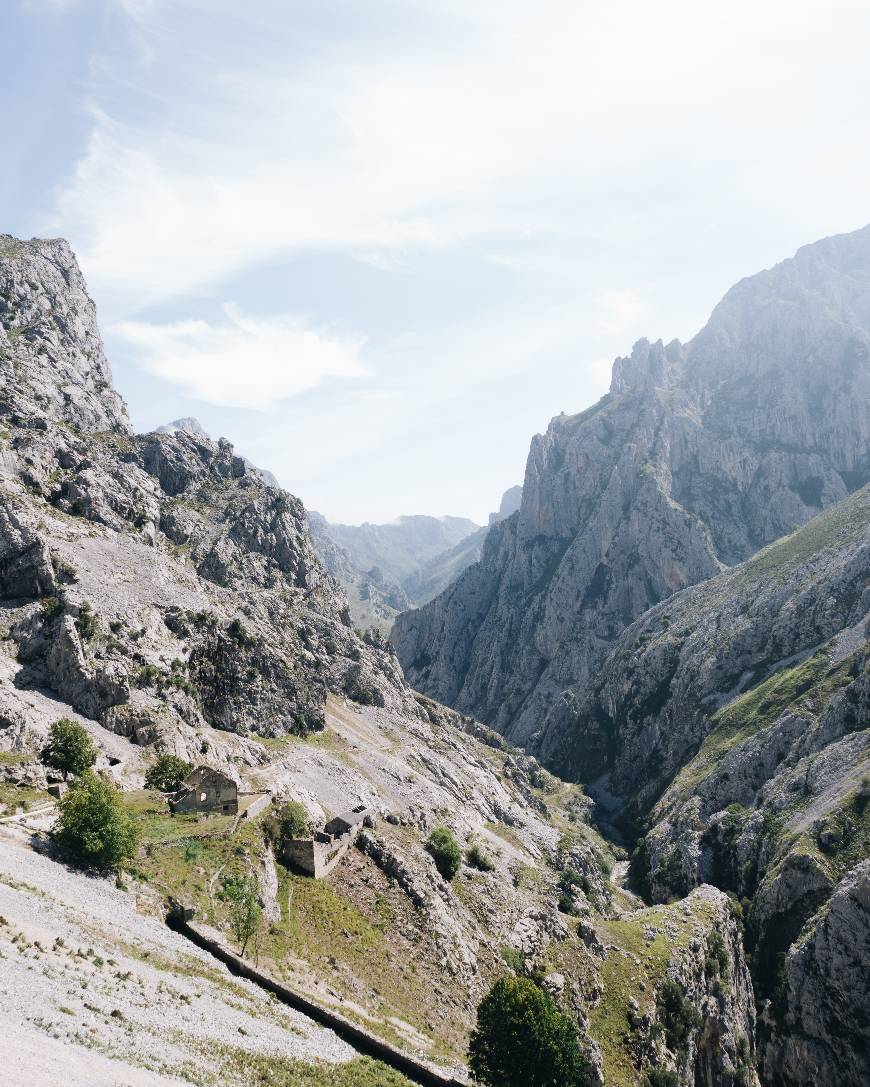 The Cares Trail