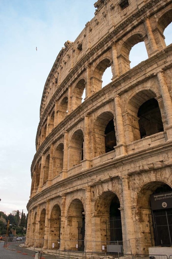 Lugar Coliseo de Roma