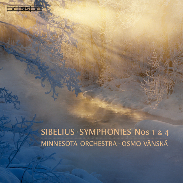 Music Symphony No. 1 in E Minor, Op. 39: III. Scherzo. Allegro