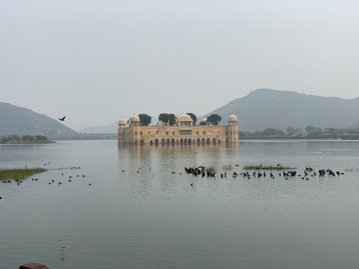 Lugar Jal Mahal