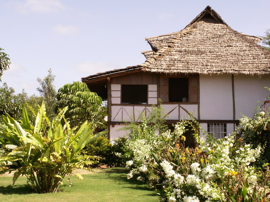 Eileen's Trees Inn