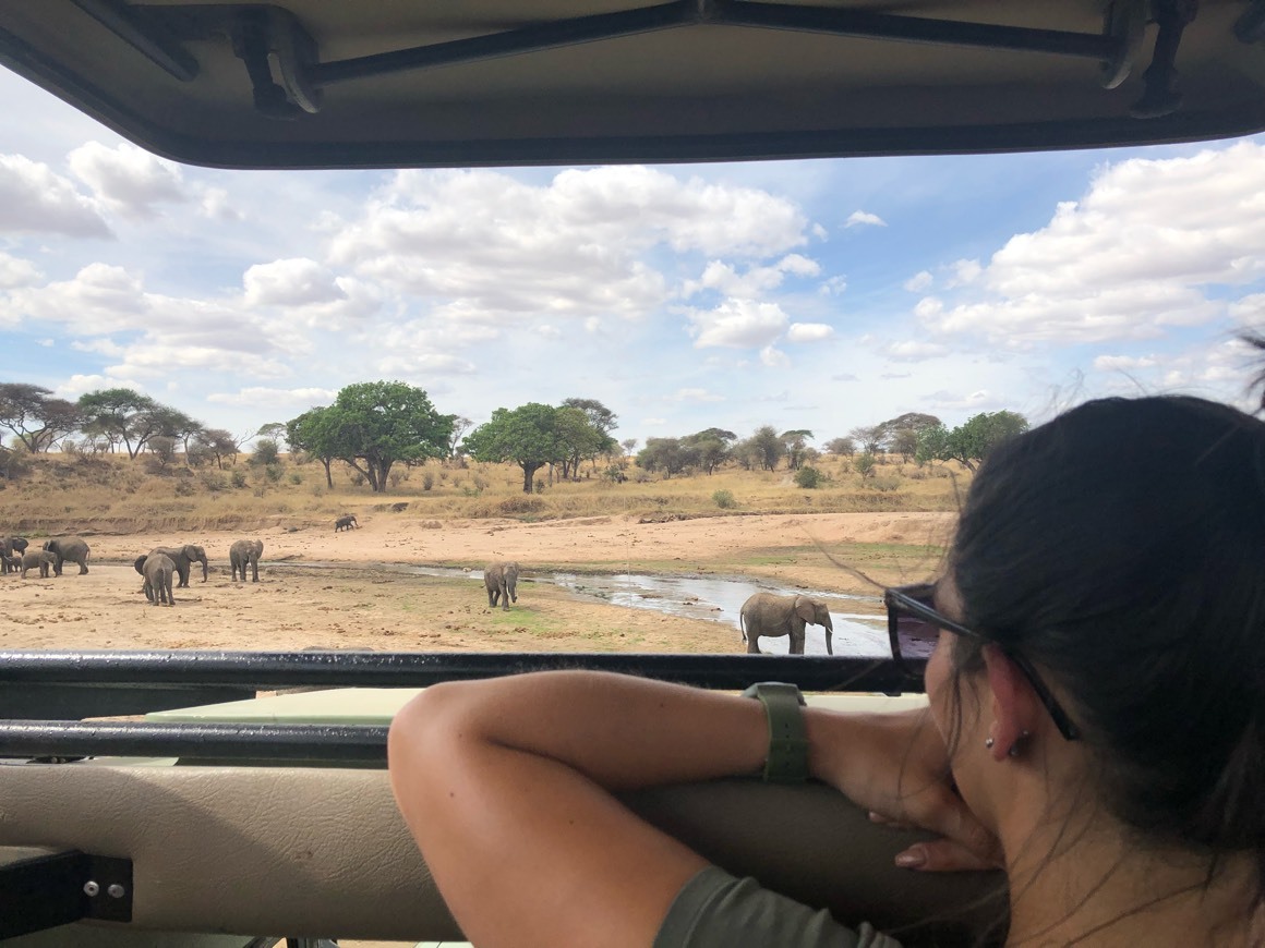 Place Tarangire National Park