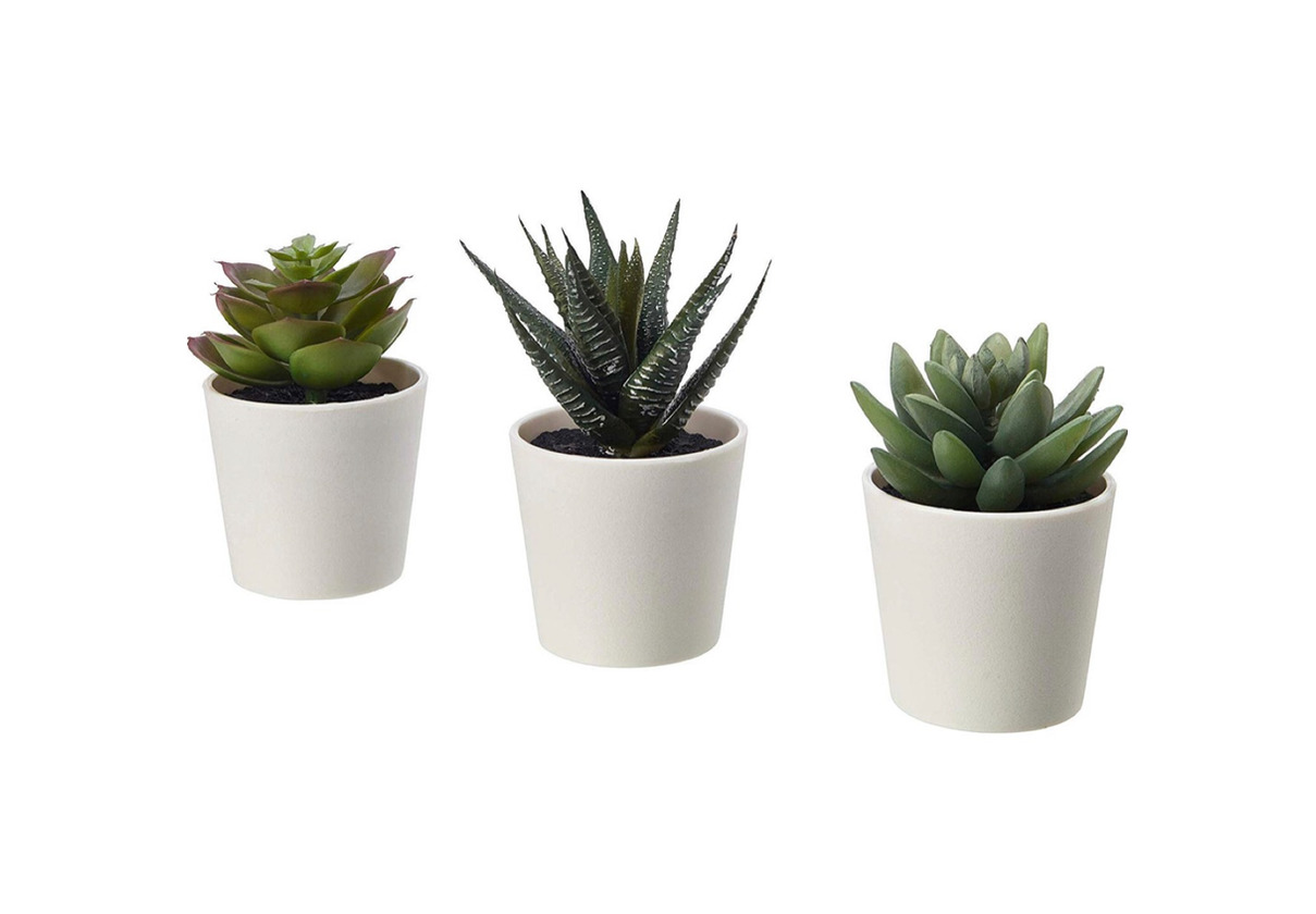 Cactos IKEA