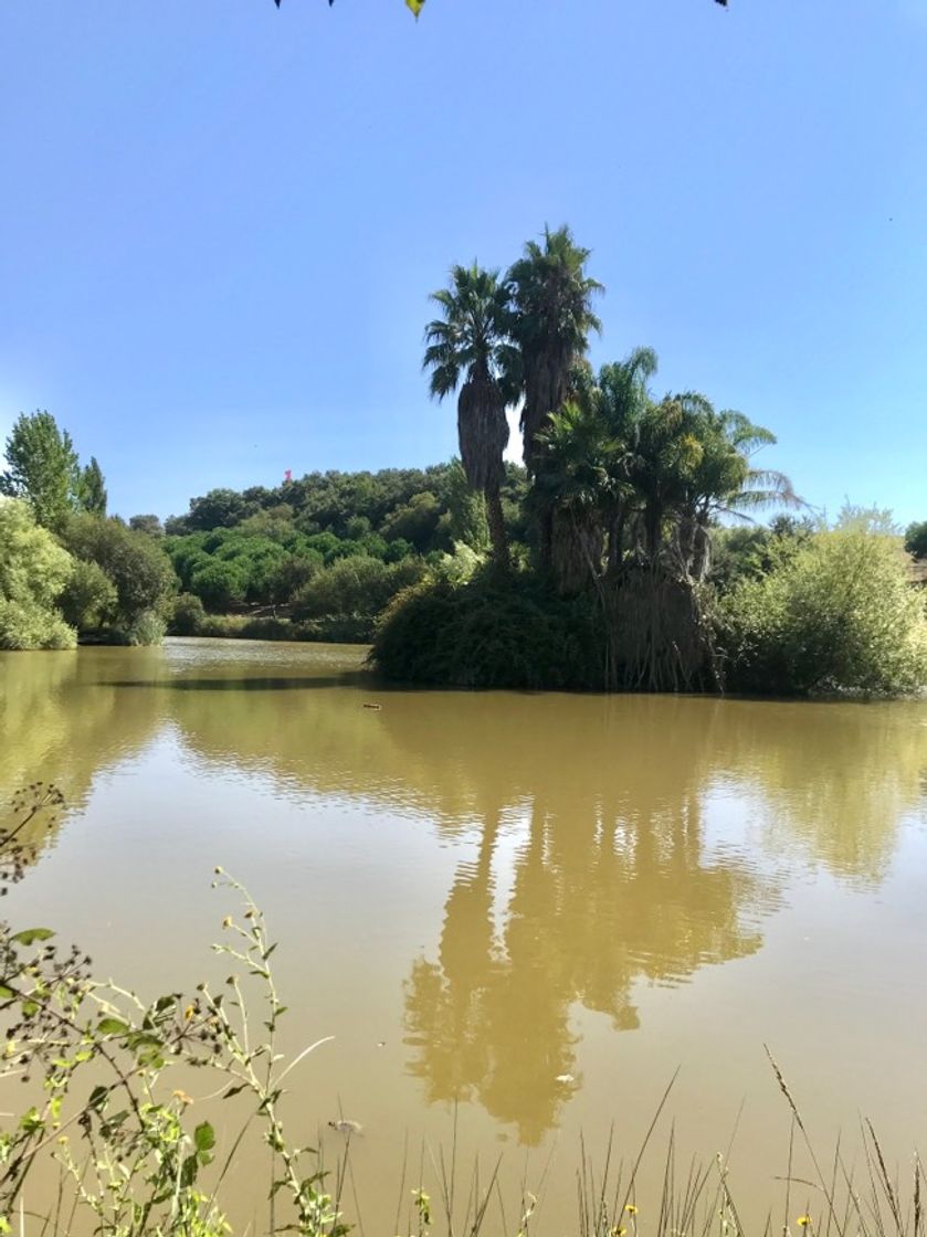 Place Parque Dos Monges Alcobaça