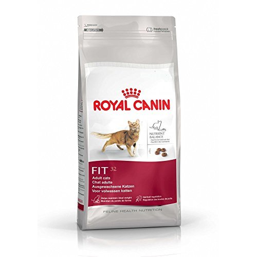 Place Royal Canin Fit 32 Dry Mix 400g