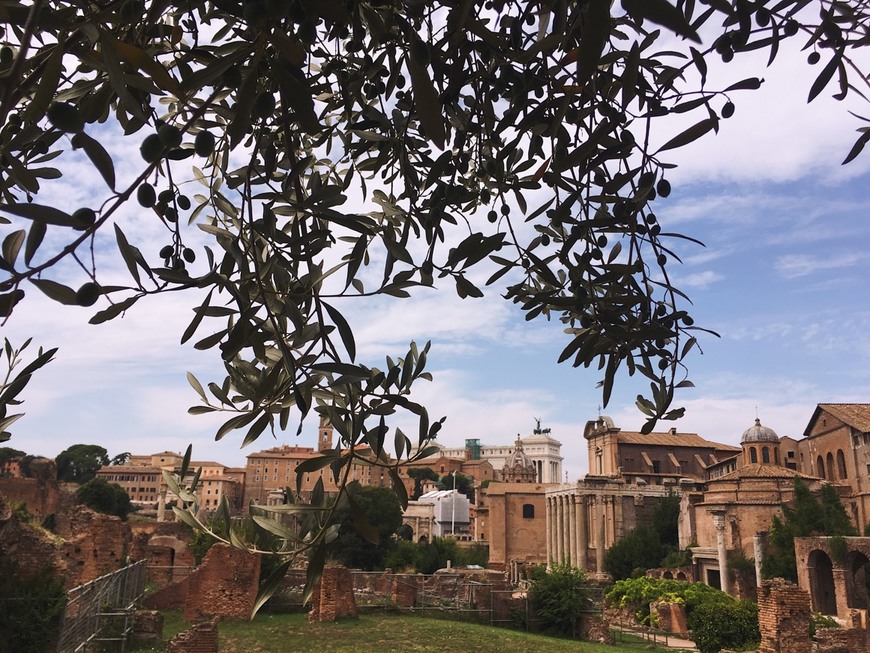 Place Foro Romano