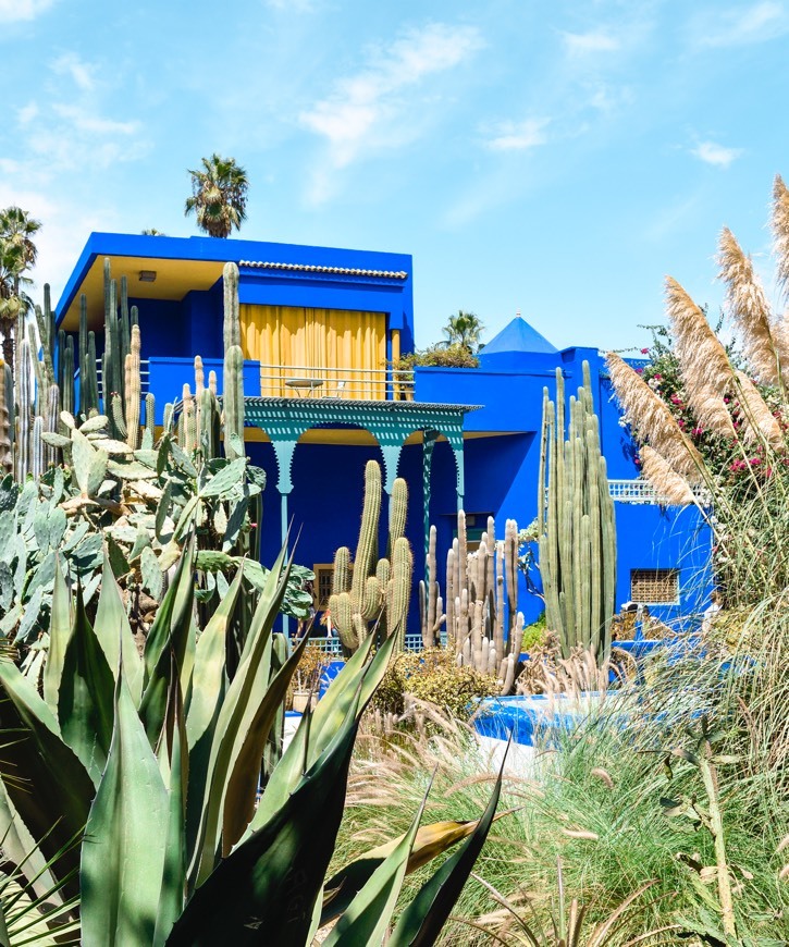 Place Jardín Majorelle