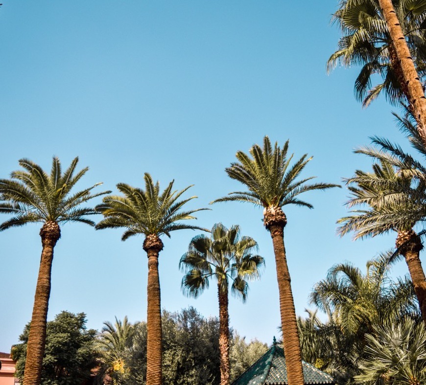 Place Marrakech
