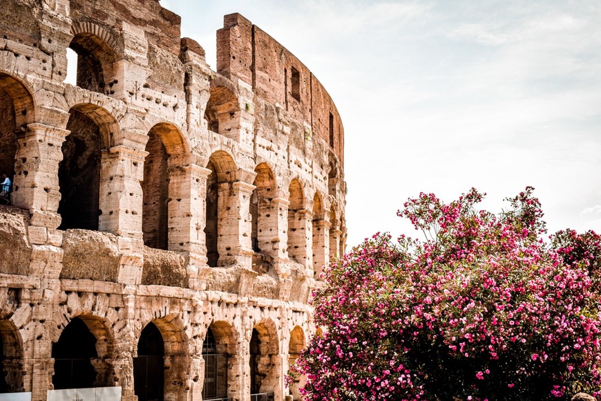 Lugar Coliseo de Roma