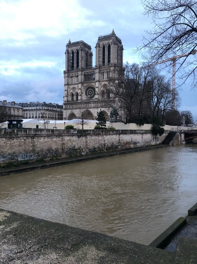 Lugar Notre Dame