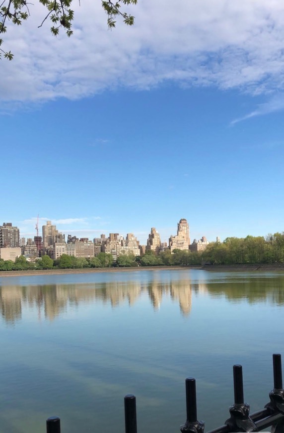 Lugar Jacqueline Kennedy Onassis Reservoir