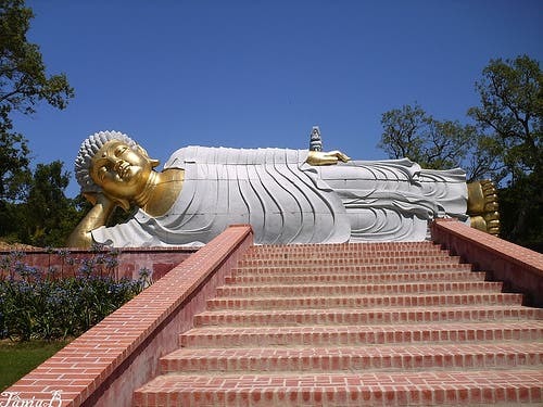 Lugar Buddha Eden