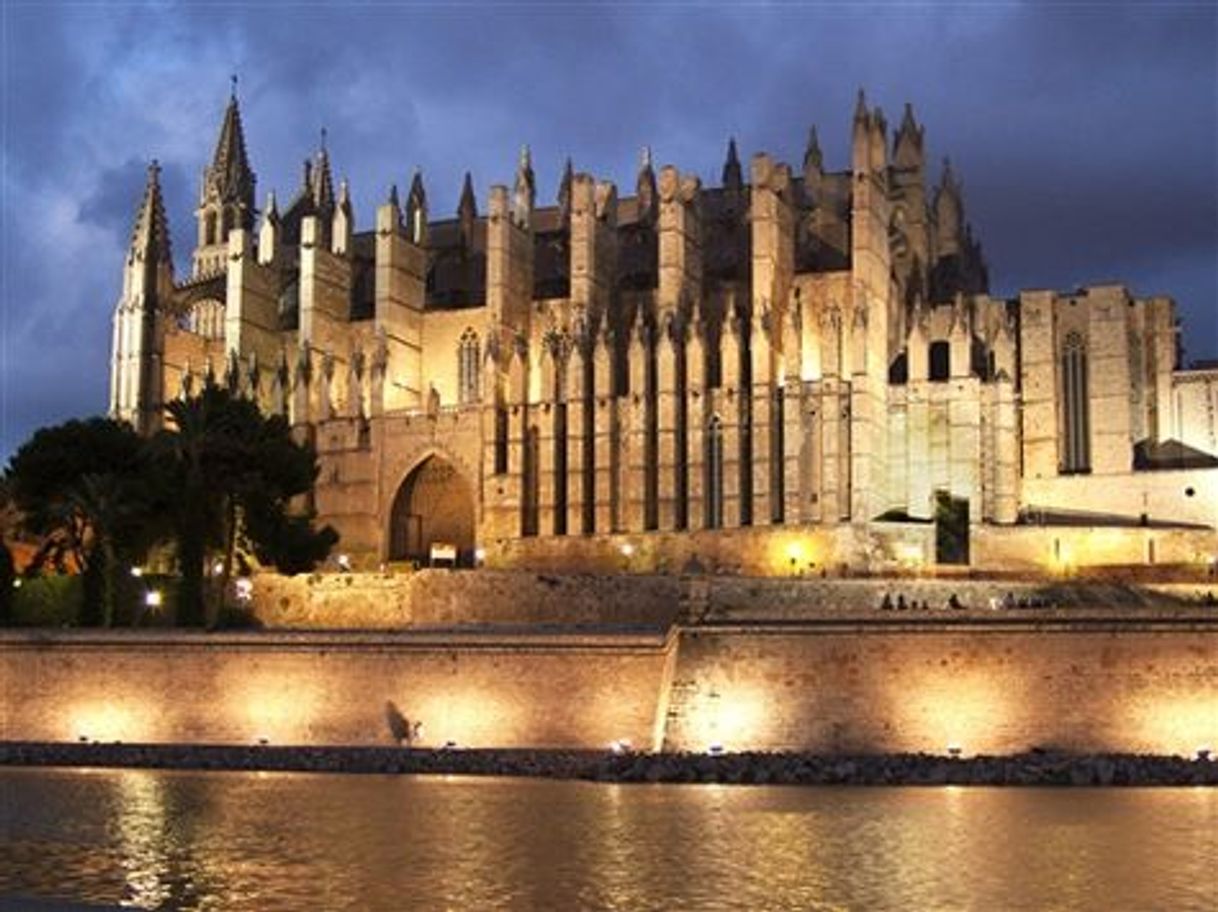 Lugar Catedral-Basílica de Santa María de Mallorca