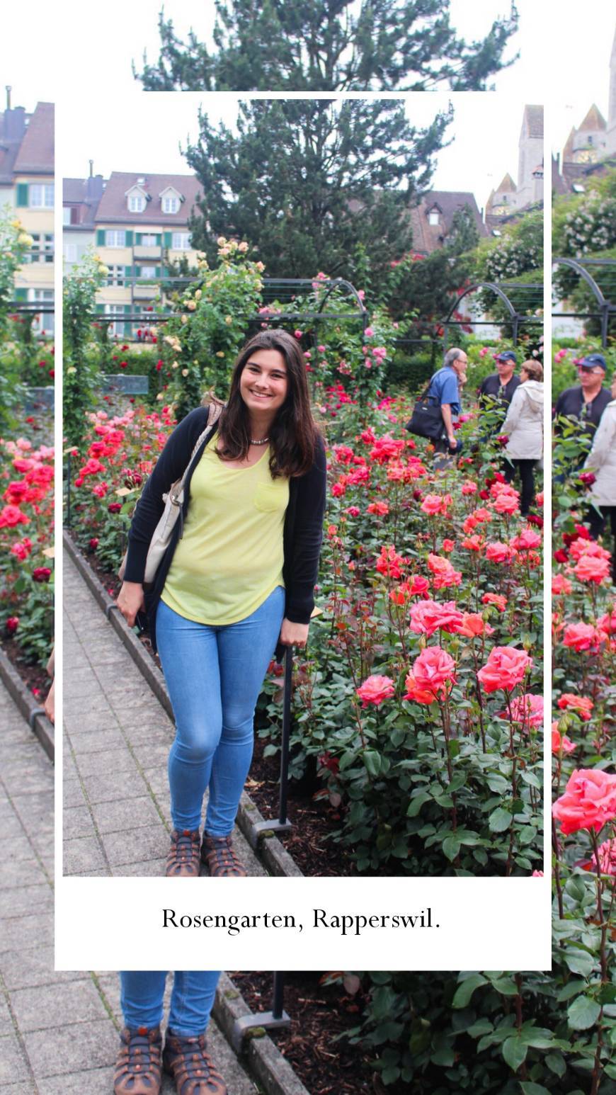 Lugar Rapperswil Rose Gardens