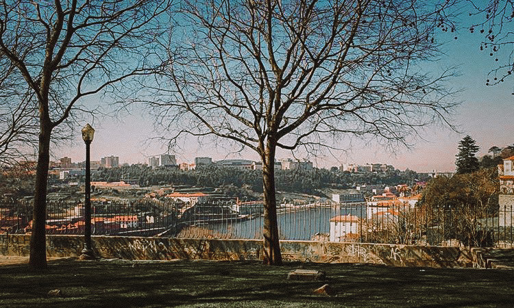 Lugar Jardim das virtudes