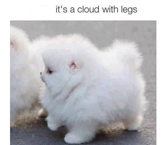 Fashion It's a cloud with legs