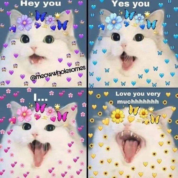 I love you very muchhhh