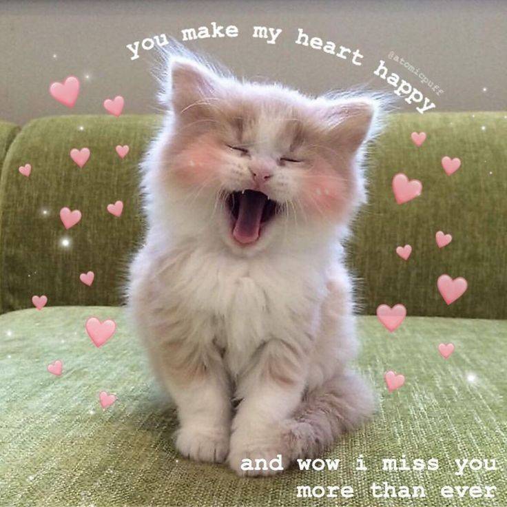 You make my heart happy 