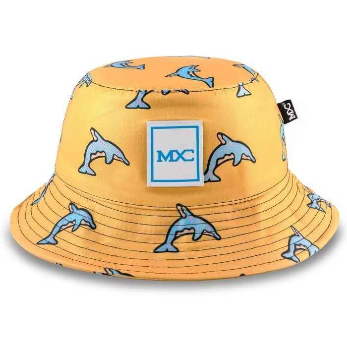Social Dolphins