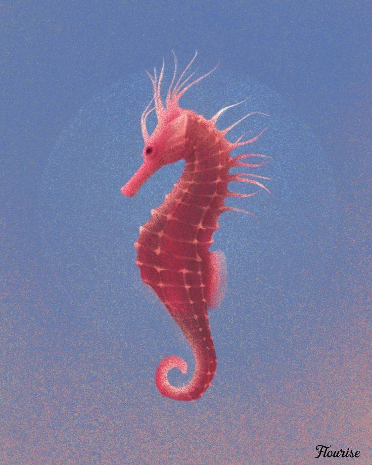 Fashion Sea horse