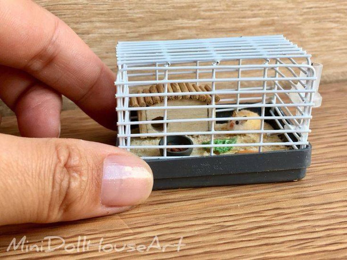 Fashion Cage with hamster