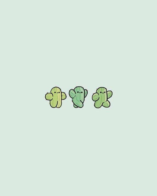Social Little cactus